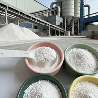 Carbonate de Calcium (CaCO3) de Qualité Alimentaire, Poudre Blanche, CAS 471-34-1, pour Prémélange Alimentaire et Produits Chimiques Inorganiques pour Usines d'Aliments pour Animaux