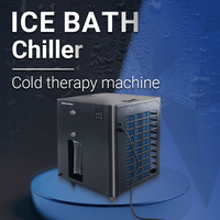 Offre Spéciale : Refroidisseur d'Eau 1,5 CV 110V/220V avec Compresseur et Pompe pour Bain de Glace et Spa