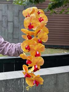 K-0080 कृत्रिम फूल orchid नारंगी नाव ऑर्किड प्राकृतिक रूप सफेद बड़े सिर लेटेक्स घरेलू सजावट के लिए वास्तविक स्पर्श ऑर्किड - Product Image 6