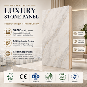 Panel de Madera Contrachapada de Abedul Resistente al Agua, Panel Decorativo de Piedra de Lujo <span class=keywords><strong>para</strong></span> Paredes Exteriores, Ideal <span class=keywords><strong>para</strong></span> Proyectos de <span class=keywords><strong>Duchas</strong></span> y Spas en Yates - Product Image 3