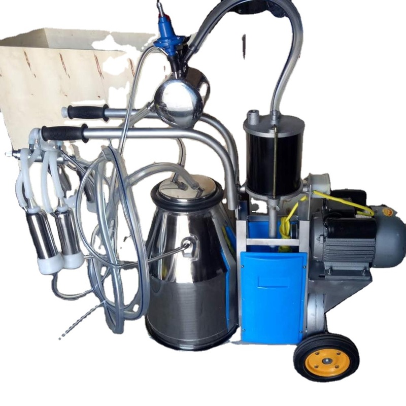 Popular and New Type Cow Milking