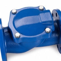 Clapet anti-retour à bride en fonte ductile PN16 pour conduites d'alimentation en eau et de protection incendie