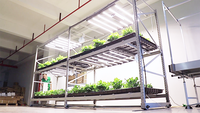 Étagères de culture pour champignons OEM, prix d'usine, système vertical, étagère mobile, support vertical pour culture en intérieur