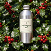 Minyak Wintergreen Metil Salisilat Kemasan Grosir 25kg, Metil Salisilat Kelas Kosmetik, Produsen Minyak Atsiri Metil Salisilat dalam Jumlah Besar