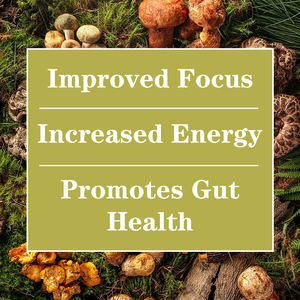 高品质天然蘑菇免疫复合物胶囊锌与维生素C蘑菇补充剂可增强能量和注意力，适合成人 - Product Image 5