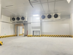 Chambre froide préfabriquée de bonne qualité pour la culture et la culture des champignons - Product Image 4