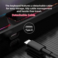 Clavier de jeu ergonomique RVB USB Type-C 104 touches pleine taille, résistant aux déversements, durable pour PC portable et de bureau, pour joueurs (version anglaise)