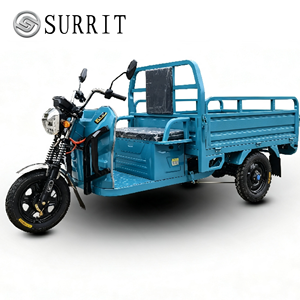 Tricycle électrique utilitaire à trois roues, vélo de transport, véhicule utilitaire à plateau ouvert - Product Image 1