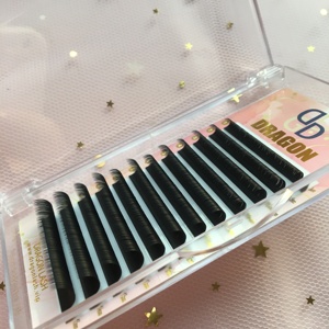 Extensions de cils coréens professionnels en fibre PBT CC/LC/DD de qualité supérieure noir mat doux pour volume de cils - Product Image 1