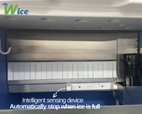 Machine à glace commerciale WICE Gourmet, 500 kg par jour, glace super cristalline super dure, idéale pour les bars à cocktails et les boîtes de nuit.