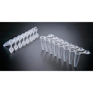 หลอด PCR ขนาด 0.2 มล. แบบผนังบาง 8 หลอด ฝาปิดแบบ Snap Flat ปราศจาก DNase และ RNase รุ่น P 02X8 CF ผลิตในจีน บรรจุ 120 หลอด - Product Image 2