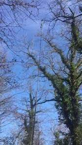 <span class=keywords><strong>Poste</strong></span> telescópico <span class=keywords><strong>de</strong></span> fibra <span class=keywords><strong>de</strong></span> carbono <span class=keywords><strong>de</strong></span> 13 <span class=keywords><strong>metros</strong></span>, 50 pies, 60 pies <span class=keywords><strong>de</strong></span> altura para cazar pájaros/palo <span class=keywords><strong>de</strong></span> alcance largo <span class=keywords><strong>de</strong></span> <span class=keywords><strong>18</strong></span> <span class=keywords><strong>metros</strong></span> para cazar palomas al aire libre - Product Image 3