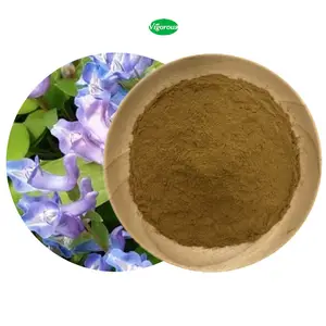 Chinese herbal plant extract Corydalis Yanhusuo Extract