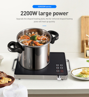 Cuisinière à Induction de haute qualité, en acier inoxydable, Portable, à infrarouge, en céramique, pour cuisson domestique, 9 pouces