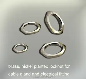 Wholesale High Quality Hex Nut Nickel Plated Cable Gland Brass Flange Nut Brass Nut