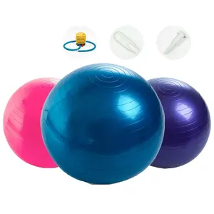 Bomba rápida incluida, pelota de ejercicio de Yoga, Pilates, Suiza, resistente, 45cm/55cm/65cm/75cm/85cm de espesor