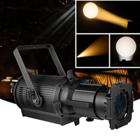 300W blanc chaud blanc LED profil lumière Lekos ellipsoïdal théâtre projecteurs Studio spectacle Concert profil spot lumière