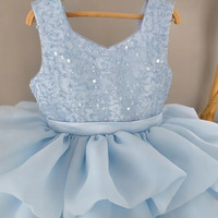 Robe de princesse en tulle à sequins avec nœud pour filles, idéale pour demoiselle d'honneur, piano, anniversaire ou spectacle
