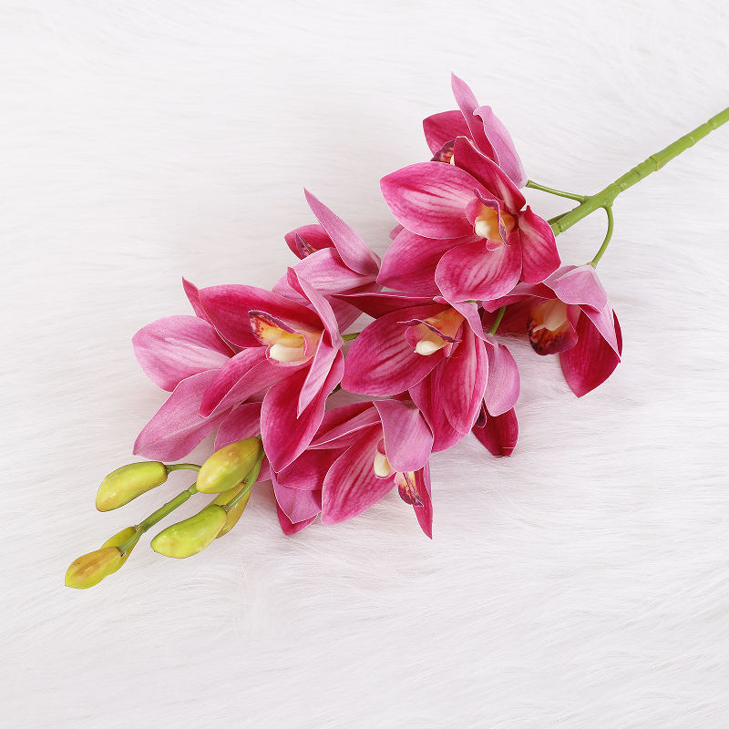 สีชมพูเข้ม