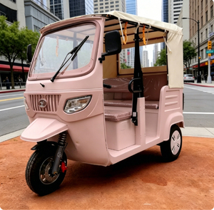 EEC COC Tows E <strong>Trike</strong> Passenger EEC Electric Passenger Tricycle Sightseeing Vehicle - Product Image 6