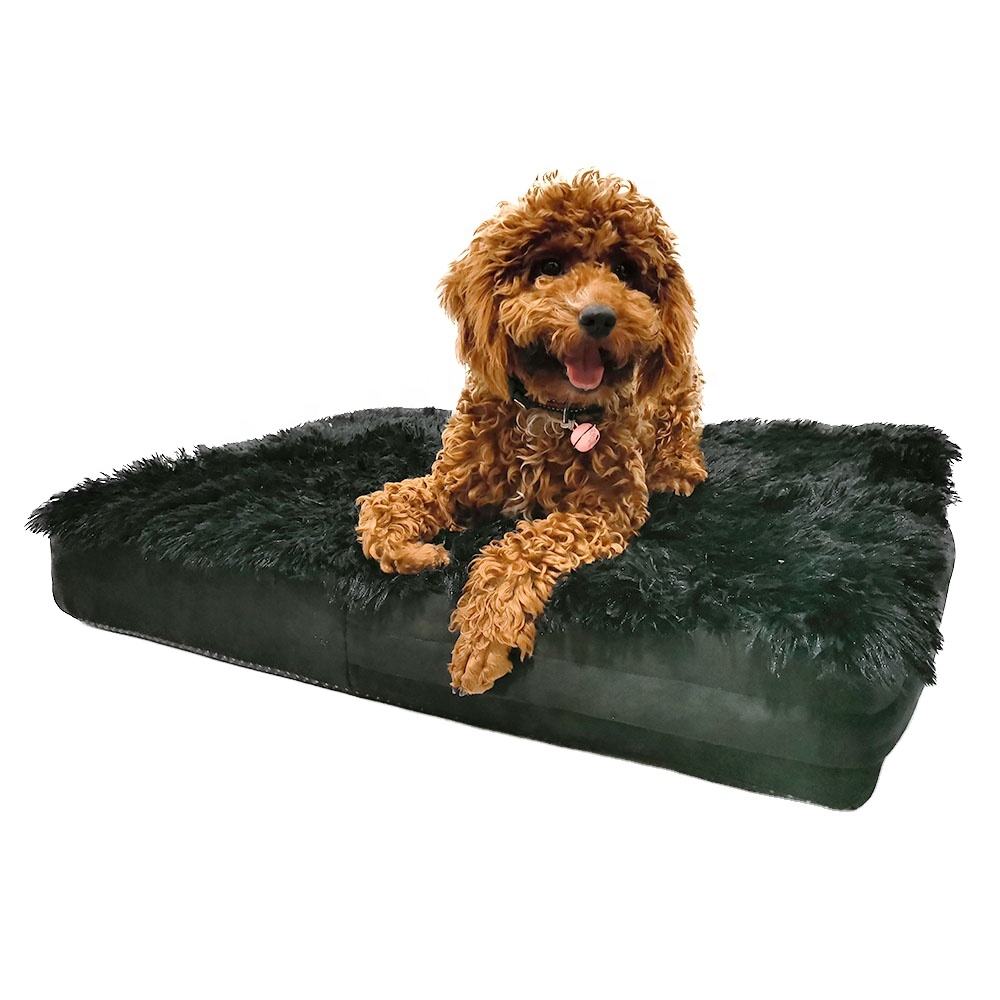 biglots dog beds