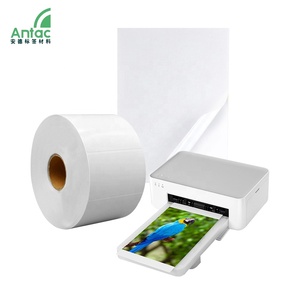 Antaclabel Custom <strong>Logo</strong> Printed Die Cut Stickers Self-Adhesive QR Code Digital Printing on Adhesive Paper with Barcode Feature - Product Image 2