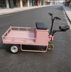 Nuevo Triciclo Eléctrico de 2 Vías 2026 con Estructura de Acero, Carrito de Comida Móvil, 1 Año de Garantía <span class=keywords><strong>para</strong></span> Venta Ambulante de Bebidas, <span class=keywords><strong>Helados</strong></span> y <span class=keywords><strong>Kiosco</strong></span> - Product Image 6