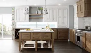 RTA kitchen cabinets customized cabinets shaker style cabinets with two soft-close doors 24 inches tall