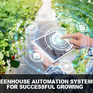 Invernadero Agrícola Inteligente Grande de Doble Capa de PE con Tecnología Hidropónica para Cultivar Plantas de Lechuga <span class=keywords><strong>y</strong></span> Ensalada - Product Image 3
