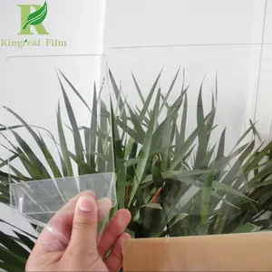 Pellicola protettiva autoadesiva trasparente senza corrosione per Plexiglass
