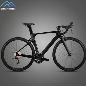 Bicicleta de Carretera de Carbono Aero, 700C, 22 Velocidades, Frenos de Disco Hidráulicos, Ligera, de Fibra, para Carreras, R10pro-disc (R10-C), Ligera, de Carbono, Directo de Fábrica - Product Image 2