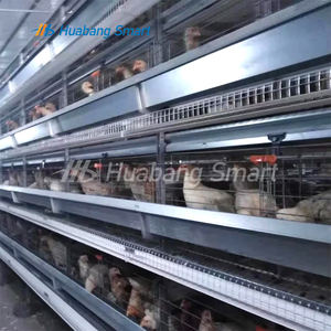 Vente chaude Cage à poules pondeuses en état neuf <span class=keywords><strong>Cages</strong></span> pour poussins provenant de l'usine chinoise - Product Image 6