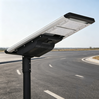 Lampe solaire écologique à haute luminosité avec boîtier en aluminium moulé sous pression pour les projets routiers et les villages ruraux