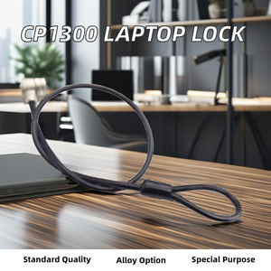 สายเคเบิลสำรองสำหรับกล่องล็อครหัสแบบมีกุญแจ SnapSafe <span class=keywords><strong>7x19</strong></span> ความยาว 4 ฟุต ทำจากเหล็ก แข็งแรง ปลอดภัย สำหรับวัตถุที่เคลื่อนย้ายไม่ได้ ใช้ได้กับทุกรุ่น - Product Image 6