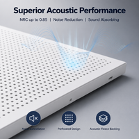 Panneaux de plafond en aluminium perforé, acoustiques, à fentes linéaires, ignifuges, 600x600mm, pour bureau