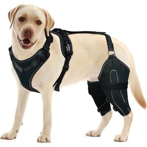Individuell anpassbare Kniebandage für Hunde mit Logo – ACL/Hinterbein/Luxation der Patella/Arthritis – mit Metallschiene und Gelenkstütze für professionellen Schutz - Product Image 1