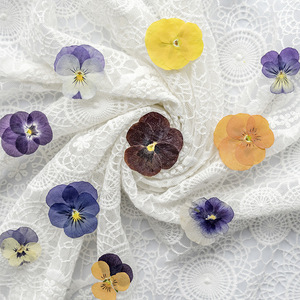 Viola del pensiero fiori secchi naturali fiori secchi decorazione del viso in rilievo, occhi angolo adesivi, segnalibri - Product Image 2