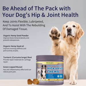 Complément alimentaire en poudre pour les articulations des chiens et des chats Pet Life |   Vitamine E |   Soutien de la mobilité avancée, absorption sûre et rapide pour tous les âges - Product Image 6