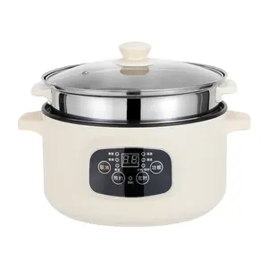 Multi-Function Hot Pot With Steamer Insulation 110V 220V Non-Stick Rice Cooker Multi-Speed Heating Electric Hot Pot 2 Layers