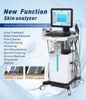 Nouvelle Offre 2026 : Appareil Hidrofacial Professionnel 13-en-1 avec Microdermabrasion Diamant, Embouts Hydra et Peeling Aqua pour Salons (OEM)