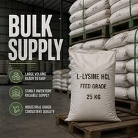 Poudre de L-lysine de qualité alimentaire, fortifiant nutritionnel, directement de l'usine