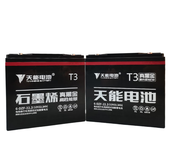 Tianneng 12V 22.3Ah Lead Acid Battery for Electric Scooters and