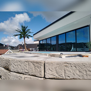 En las ventas Anti-congelación <span class=keywords><strong>centro</strong></span> comercial decoración del Hotel Artificial árbol de <span class=keywords><strong>palma</strong></span> - Product Image 2