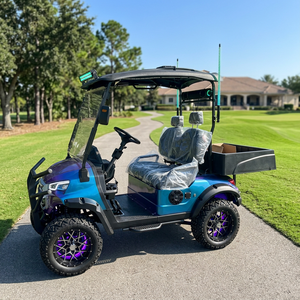 Véhicule tout-terrain électrique surélevé 2 places avec boîte de chargement, barre lumineuse LED sur le toit et barre de protection avant, chariot de golf - Product Image 3