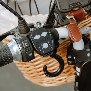 Nouveauté : Scooter électrique léger et portable 48V en acier pour animaux de compagnie, transport extérieur pour chiens de petite à moyenne taille - Product Image 6
