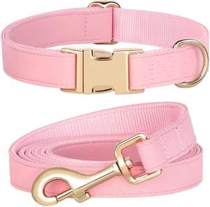 PET ARTIST Soft PU Hunde halsband & Leine Set für kleine Hunde-Stylish 5ft Pink, Schnell verschluss, Größe S (9-14 ") - Product Image 1