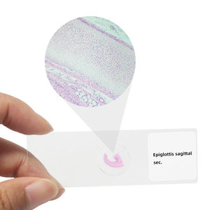 Sistem pernapasan geser trakea T.S. Paru Sec. Epiglottis Sagittal Sec. - Product Image 5