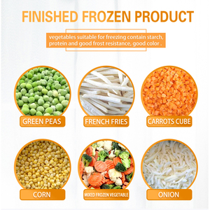 상업용 500kg/1000 kg/h 냉동 야채 및 Iqf 과일 가공 및 포장 생산 빠른 냉동 라인 - Product Image 2