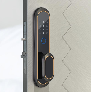 Serrures de porte intelligentes biométriques d'empreinte digitale électroniques intelligentes anti-vol de haute sécurité - Product Image 1