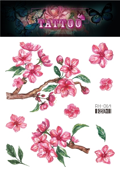 Rh-064